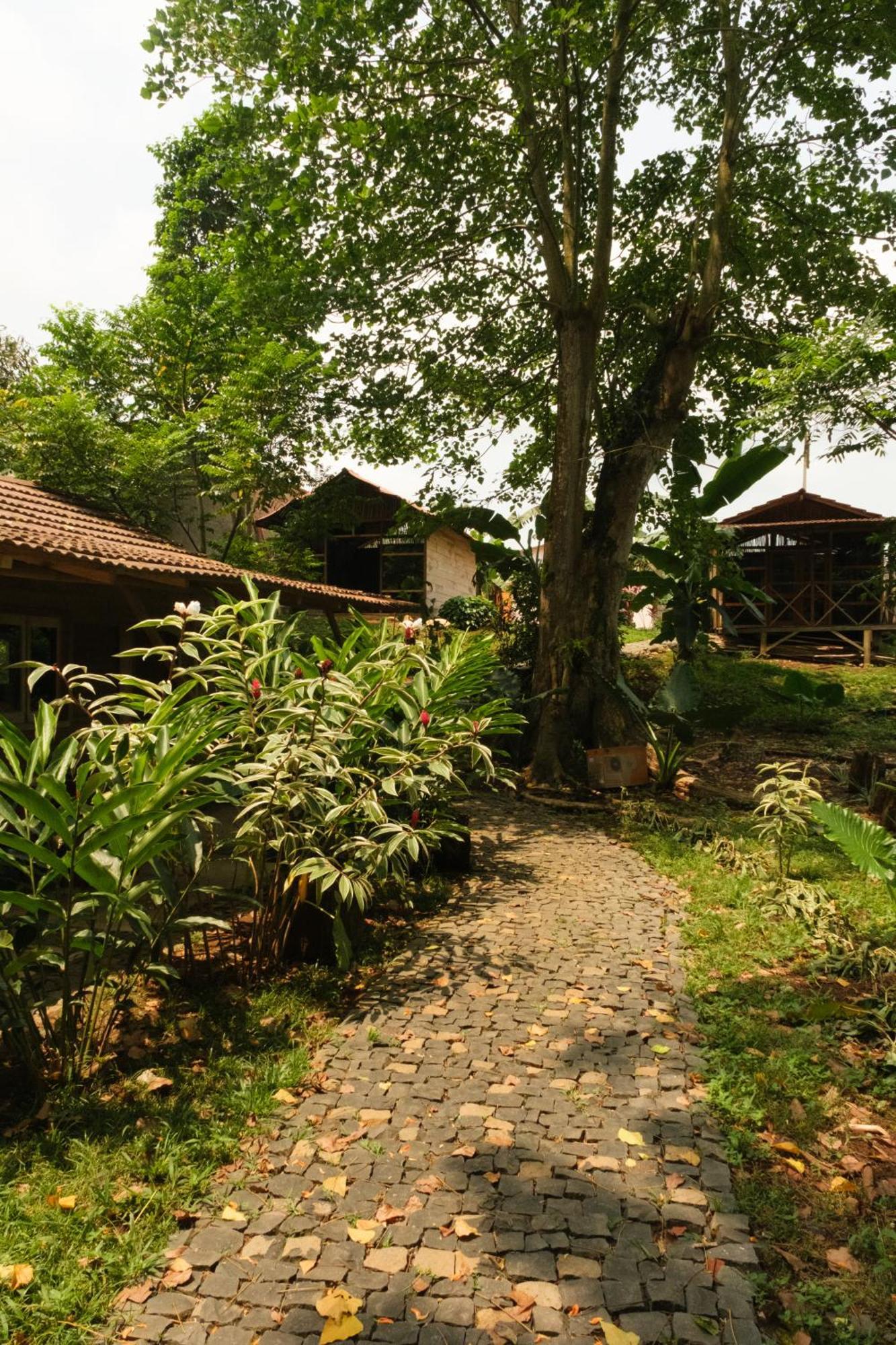 Roca Maria Helena-Principe Hotel Santo Antonio Luaran gambar
